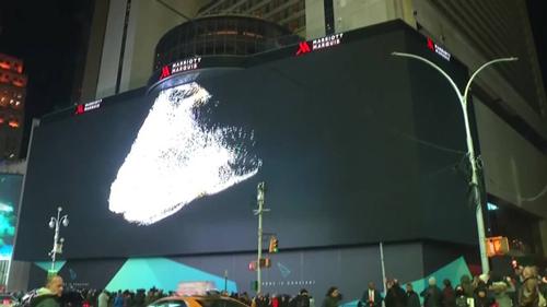 The world's largest LED screen in Times Square of New York|Industry Co.,
